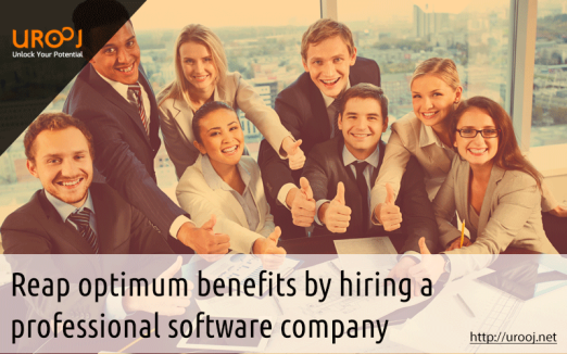 reap-optimum-benefits-by-hiring-a-professional-software-company